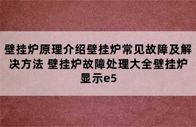 壁挂炉原理介绍壁挂炉常见故障及解决方法 壁挂炉故障处理大全壁挂炉显示e5